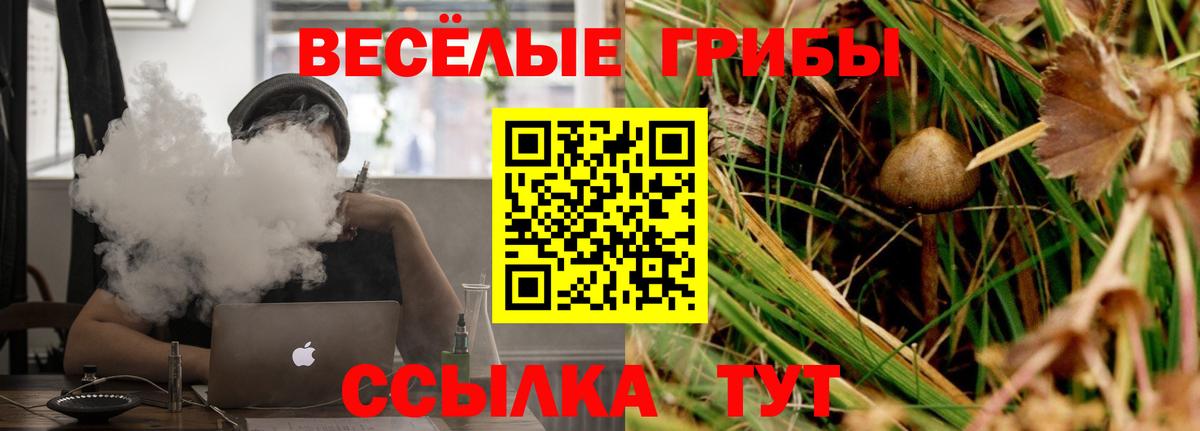 Лосино-Петровский  Галлюциногенные грибы ЛСД  Вход с VPN 