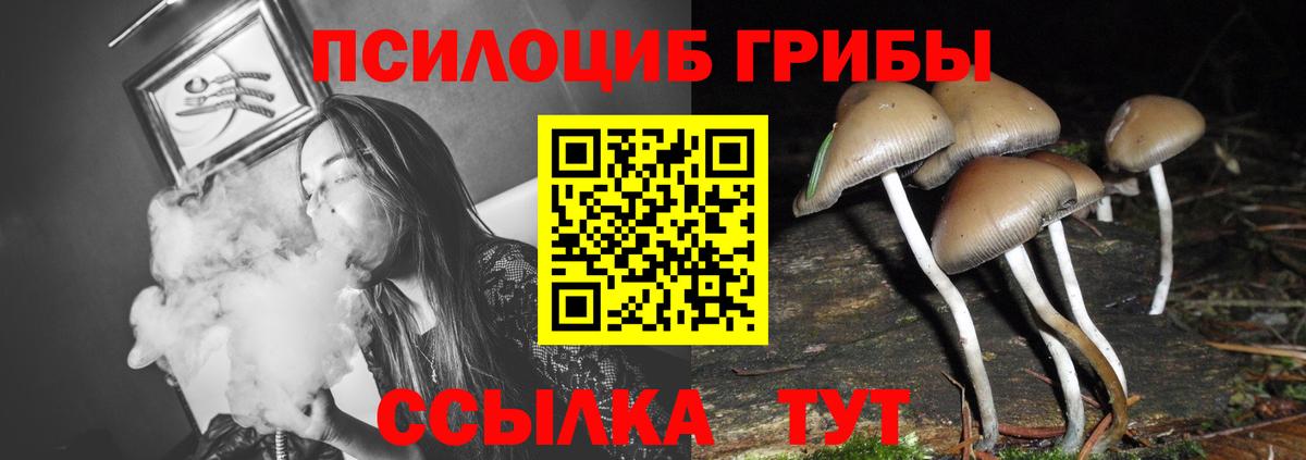 Псилоцибиновые грибы GOLDEN TEACHER Лосино-Петровский